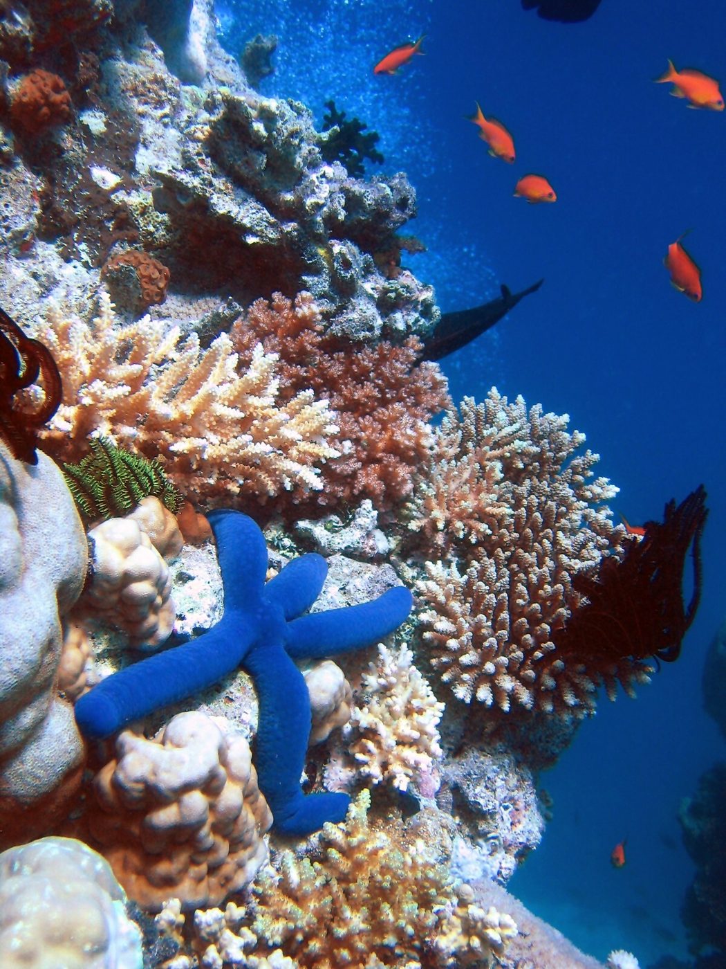 图 5.6